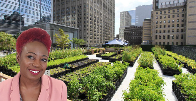 Toronto food programs to benefit from TCBN’s Veggie Derby