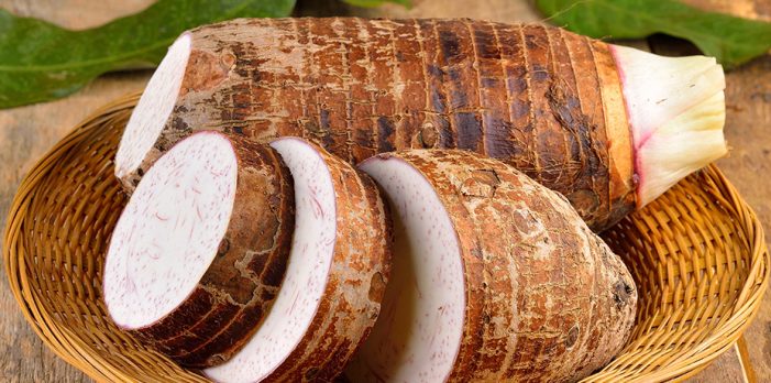 Trinidad Magistrate probes missing bags of dasheen in police custody